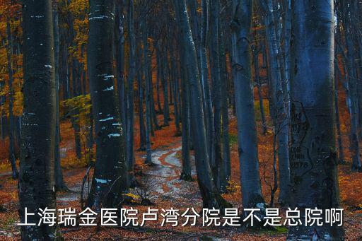 上海瑞金醫(yī)院盧灣分院是不是總院啊