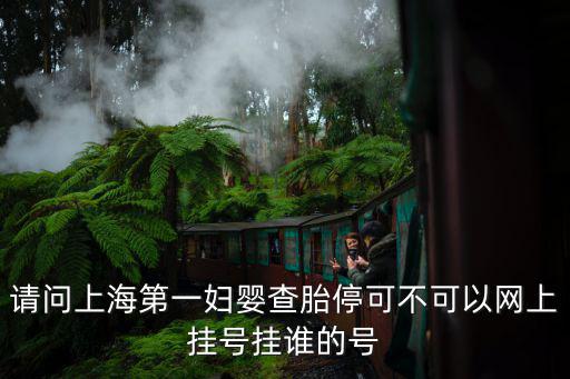 請問上海第一婦嬰查胎停可不可以網上掛號掛誰的號