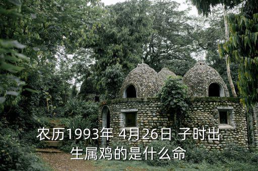 農(nóng)歷1993年 4月26日 子時出生屬雞的是什么命
