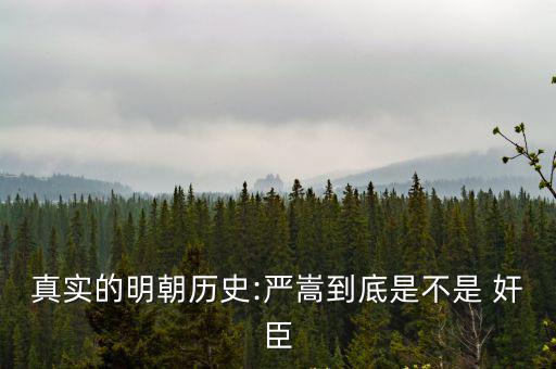 真實的明朝歷史:嚴嵩到底是不是 奸臣