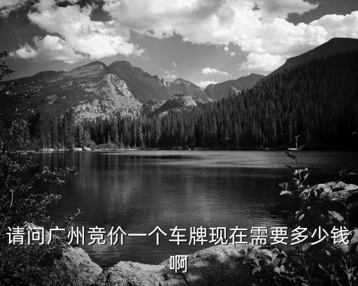 請問廣州競價一個車牌現在需要多少錢啊