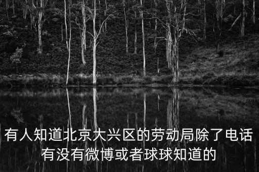 北京市大興區勞動仲裁咨詢電話，大興區勞動保障監察部門電話是多少