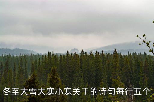冬至大雪大寒小寒關(guān)于的詩句每行五個