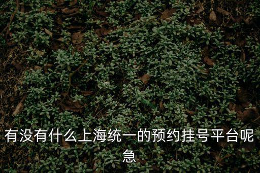 有沒有什么上海統一的預約掛號平臺呢急