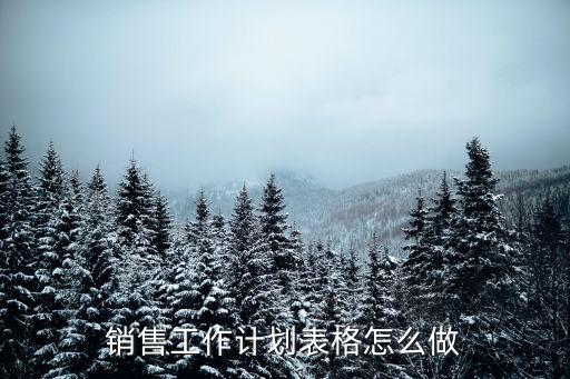 銷售工作計(jì)劃表格怎么做