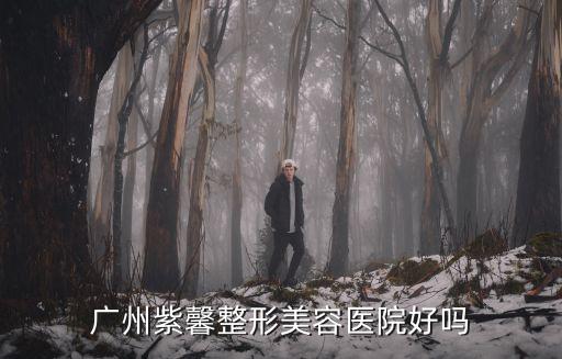 廣州紫馨整形美容醫院好嗎