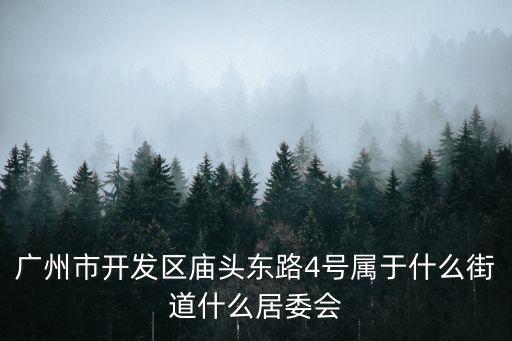 廣州市開發(fā)區(qū)廟頭東路4號屬于什么街道什么居委會