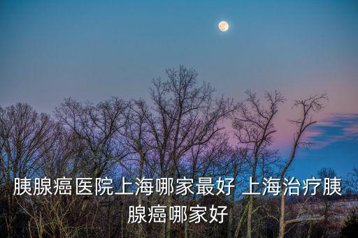 胰腺癌醫(yī)院上海哪家最好 上海治療胰腺癌哪家好