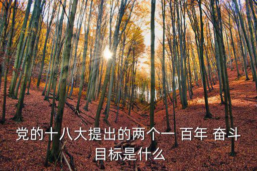 黨的十八大提出的兩個一 百年 奮斗 目標(biāo)是什么