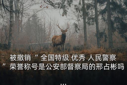 被撤銷“ 全國特級 優秀 人民警察”榮譽稱號是公安部督察局的邢占彬嗎...