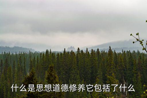 什么是思想道德修養它包括了什么