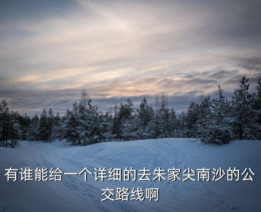有誰能給一個詳細的去朱家尖南沙的公交路線啊