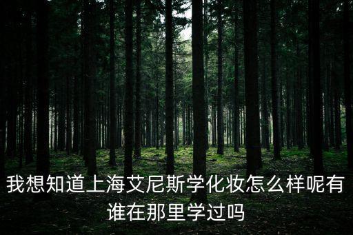 我想知道上海艾尼斯學(xué)化妝怎么樣呢有誰在那里學(xué)過嗎