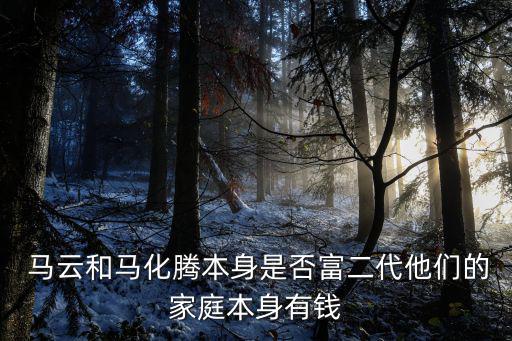 馬云的家人,馬云:我會投資朋友的健康家人