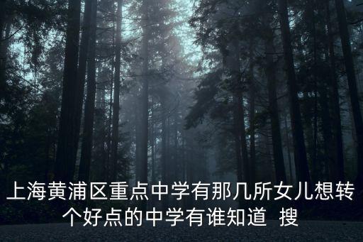 上海黃浦區重點中學有那幾所女兒想轉個好點的中學有誰知道  搜