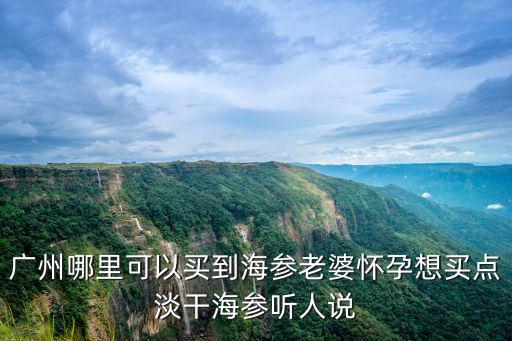 廣州哪里可以買到海參老婆懷孕想買點淡干海參聽人說