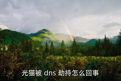 dns被劫持,域名劫持怎么做?