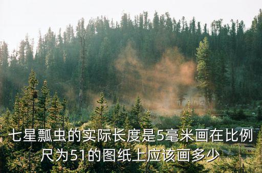 七星瓢蟲的實際長度是5毫米畫在比例尺為51的圖紙上應該畫多少