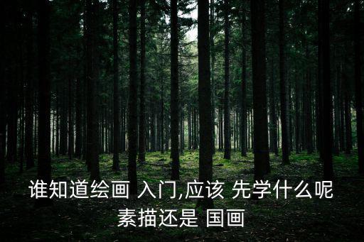 誰知道繪畫 入門,應該 先學什么呢素描還是 國畫