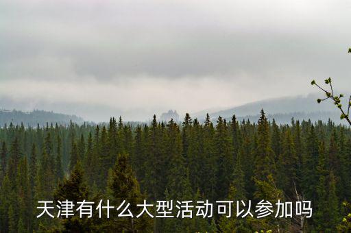 天津有什么大型活動可以參加嗎