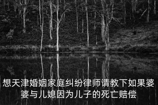 天津市濱海婚姻法律律師，天津濱海新區律師服務業怎么樣