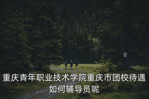 重慶青年職業技術學院重慶市團校待遇如何輔導員呢