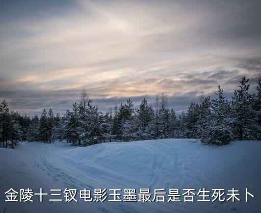 趙玉墨毀容后照片,十二釵之首趙玉墨的下落