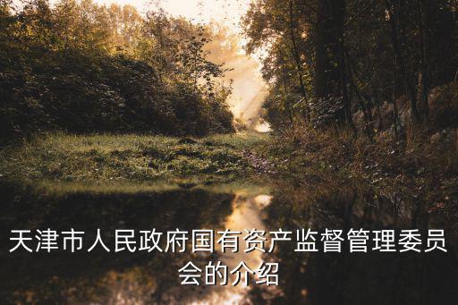 天津市人民政府國有資產監督管理委員會的介紹