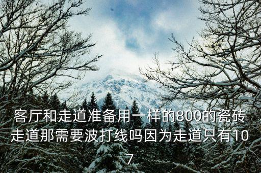 客廳和走道準(zhǔn)備用一樣的800的瓷磚走道那需要波打線嗎因為走道只有107