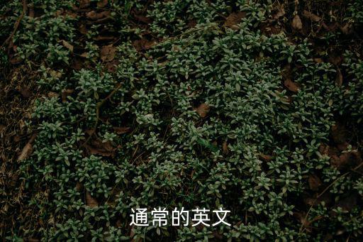 通常的英文