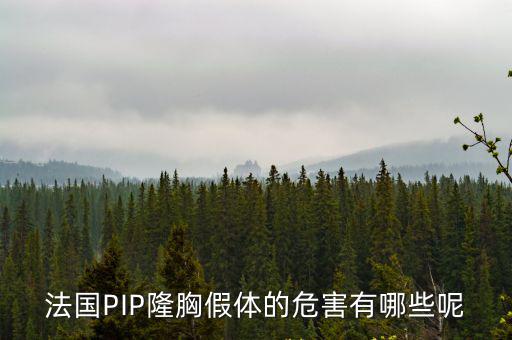 法國(guó)PIP隆胸假體的危害有哪些呢