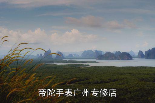 帝陀手表廣州專修店