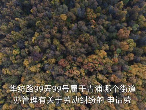 上海市青浦區(qū)勞動(dòng)仲裁地址，上海 青浦區(qū)徐涇仲裁委員會(huì)在哪