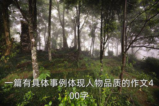 一篇有具體事例體現(xiàn)人物品質(zhì)的作文400字