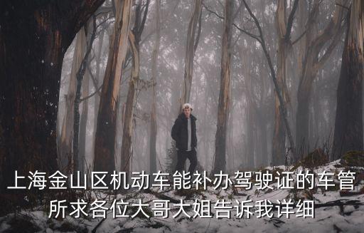 上海金山區機動車能補辦駕駛證的車管所求各位大哥大姐告訴我詳細