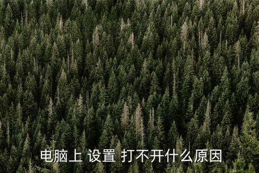 電腦設置打不開,電腦設置打不開怎么辦?看這里!