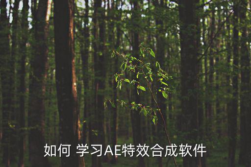 如何 學習AE特效合成軟件