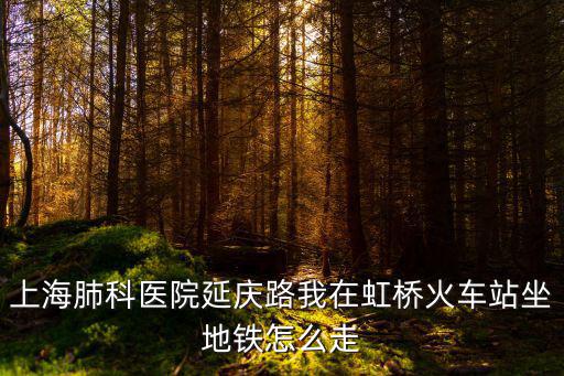 上海肺科醫院延慶路我在虹橋火車站坐地鐵怎么走