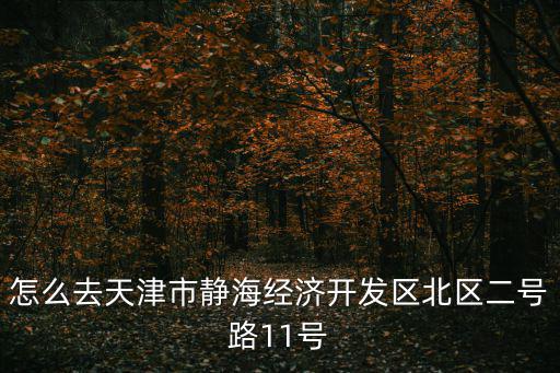 怎么去天津市靜海經(jīng)濟(jì)開發(fā)區(qū)北區(qū)二號路11號