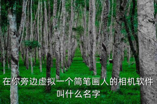 在你旁邊虛擬一個簡筆畫人的相機軟件叫什么名字