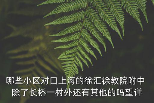 哪些小區對口上海的徐匯徐教院附中 除了長橋一村外還有其他的嗎望詳
