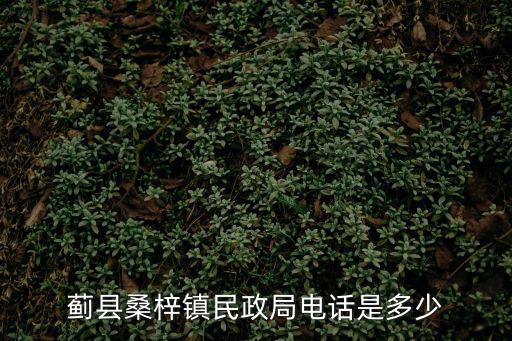 薊縣桑梓鎮(zhèn)民政局電話是多少