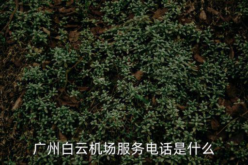 廣州白云機場服務電話是什么