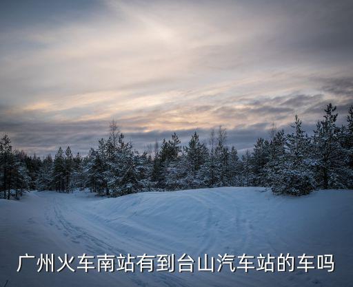 廣州火車南站有到臺(tái)山汽車站的車嗎