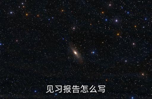 見習報告怎么寫