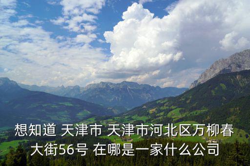 天津市宇泰晟運商貿有限公司，想知道 天津市 天津市河北區萬柳春大街56號 在哪是一家什么公司