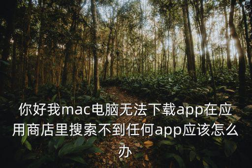 你好我mac電腦無法下載app在應用商店里搜索不到任何app應該怎么辦
