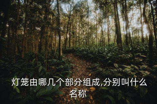 燈籠的種類,中國民間工藝品燈籠制作技藝精湛