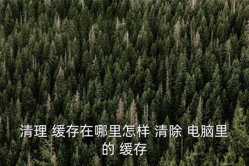 清理 緩存在哪里怎樣 清除 電腦里的 緩存