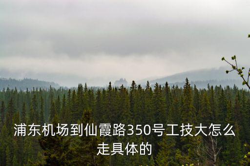 浦東機場到仙霞路350號工技大怎么走具體的
